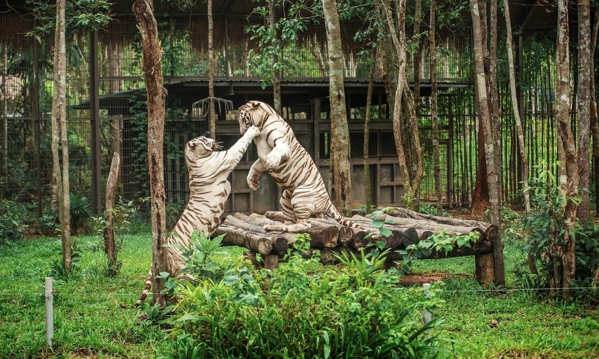 Vườn quốc gia Phú Quốc